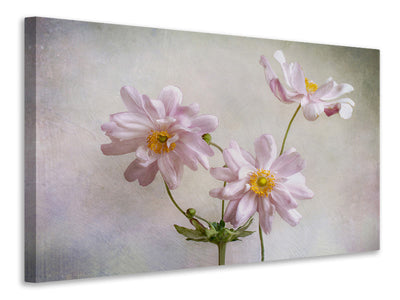 4-piece-canvas-print-anemones