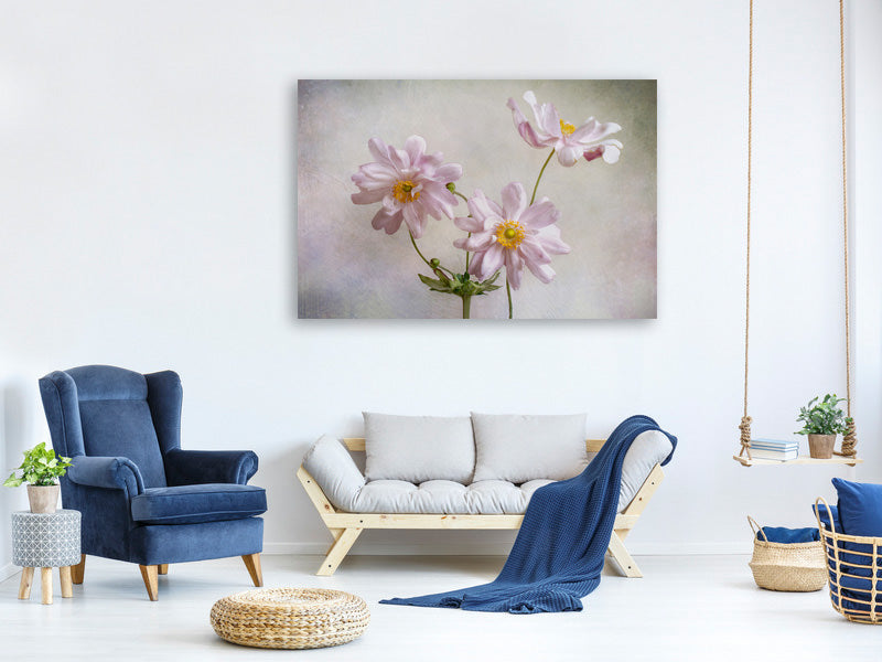 modern-3-piece-canvas-print-anemones