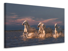 3-piece-canvas-print-angels-of-camargue