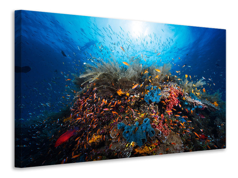 panoramic-3-piece-canvas-print-apnea