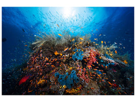 panoramic-3-piece-canvas-print-apnea