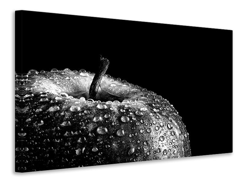 panoramic-3-piece-canvas-print-appel