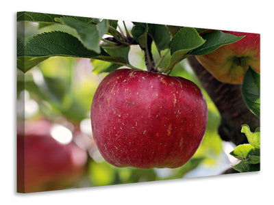 3-piece-canvas-print-apple-in-xxl