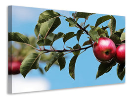 4-piece-canvas-print-apple-on-the-tree