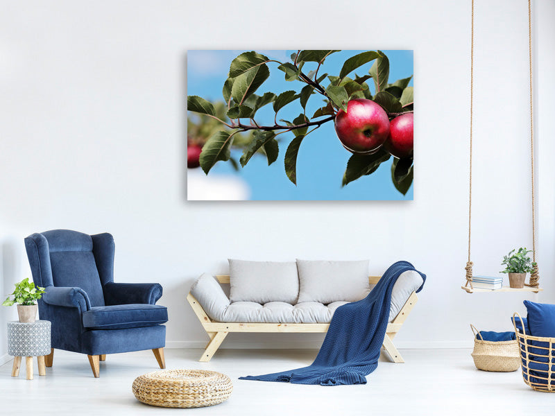 5-piece-canvas-print-apple-on-the-tree