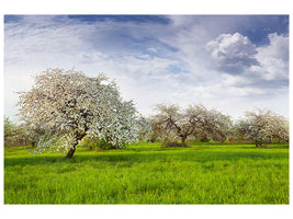 modern-4-piece-canvas-print-apple-tree-garden
