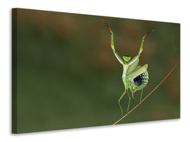panoramic-3-piece-canvas-print-are-you-gonna-dance-with-me