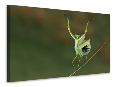 panoramic-3-piece-canvas-print-are-you-gonna-dance-with-me