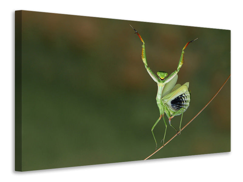 panoramic-canvas-print-are-you-gonna-dance-with-me