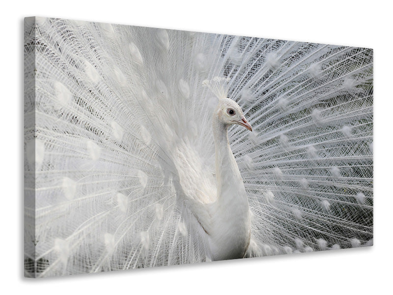 modern-3-piece-canvas-print-as-white-as-snow