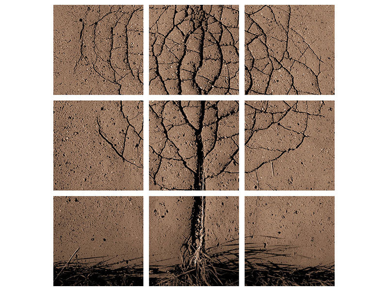canvas-print-asphalt-tree