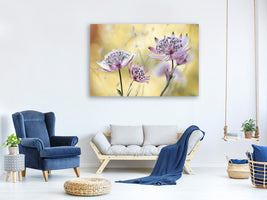 modern-3-piece-canvas-print-astrantia-major