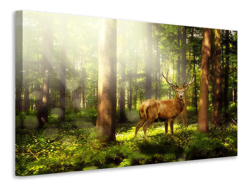 3-piece-canvas-print-attention-deer