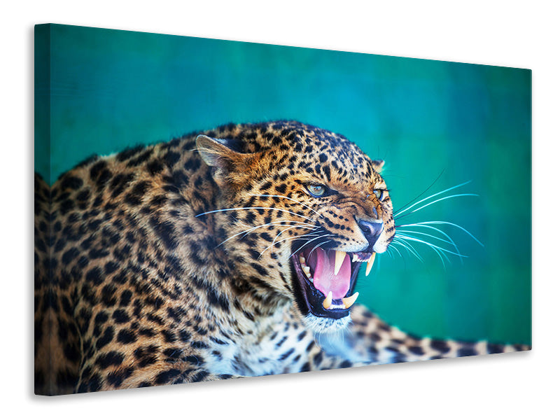 modern-3-piece-canvas-print-attention-leopard