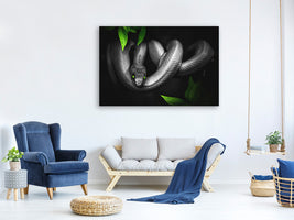 3-piece-canvas-print-attention-snake