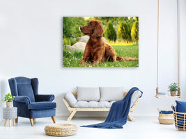 3-piece-canvas-print-attentive-irish-setter
