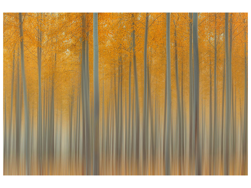 modern-3-piece-canvas-print-autumn-delight-ii