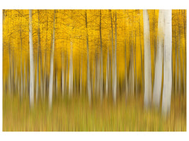 5-piece-canvas-print-autumn-dream-ii