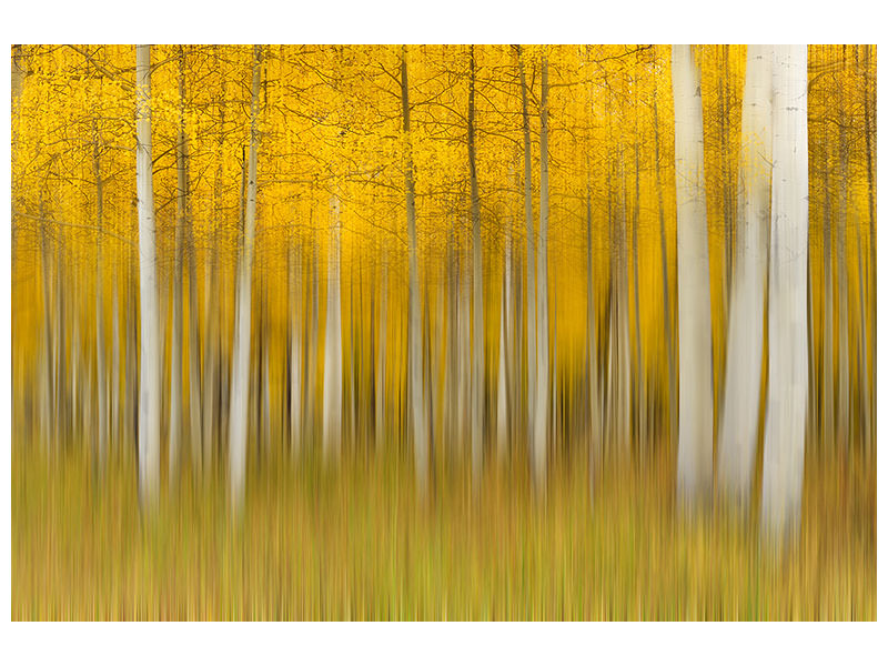 panoramic-canvas-print-autumn-dream-ii