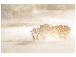 modern-3-piece-canvas-print-autumn-dreams