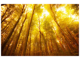 modern-4-piece-canvas-print-autumn-forest