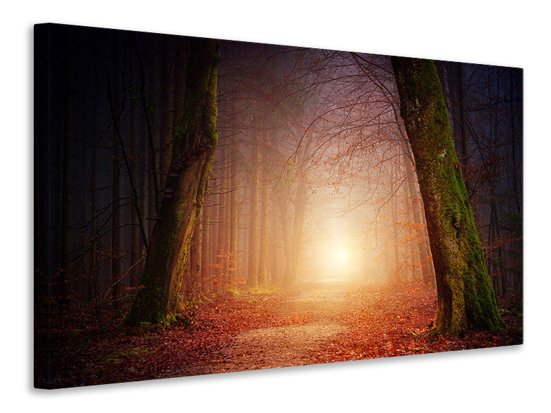 modern-3-piece-canvas-print-autumn-in-the-woods