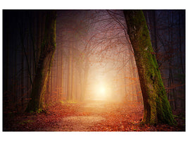 5-piece-canvas-print-autumn-in-the-woods