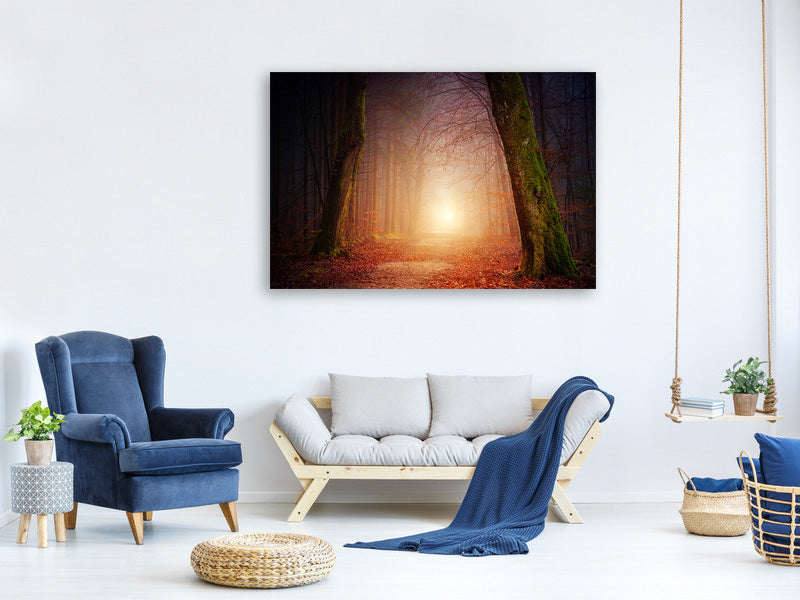 5-piece-canvas-print-autumn-in-the-woods