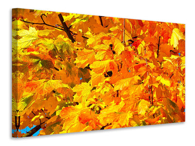 modern-3-piece-canvas-print-autumn-leaves-ii