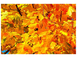 panoramic-3-piece-canvas-print-autumn-leaves-ii