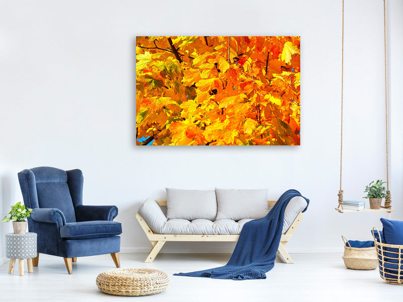 3-piece-canvas-print-autumn-leaves-ii