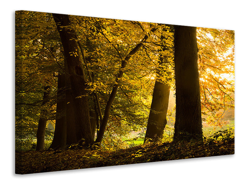 5-piece-canvas-print-autumn-leaves