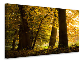 modern-4-piece-canvas-print-autumn-leaves