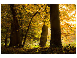 modern-4-piece-canvas-print-autumn-leaves