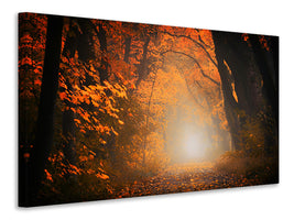 modern-3-piece-canvas-print-autumn-light-in-the-forest