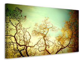 modern-4-piece-canvas-print-autumn-trees-ii