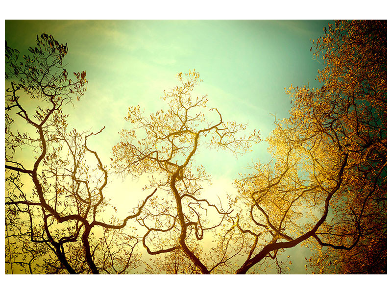 modern-4-piece-canvas-print-autumn-trees-ii