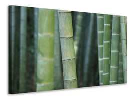 panoramic-3-piece-canvas-print-bamboo-in-xxl
