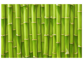 panoramic-3-piece-canvas-print-bamboo-wall