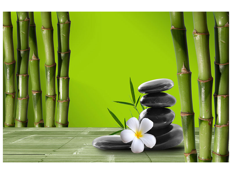 4-piece-canvas-print-bamboo