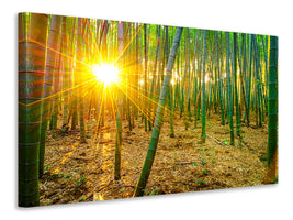 4-piece-canvas-print-bamboos