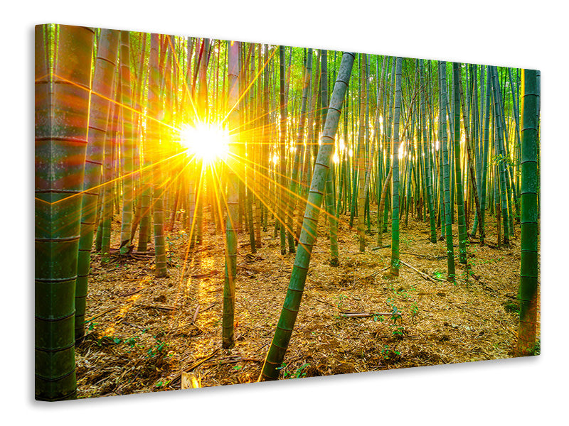 5-piece-canvas-print-bamboos