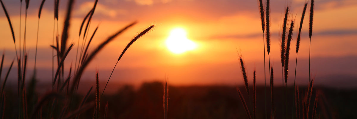 panoramic-canvas-print-adorable-sunset-panorama