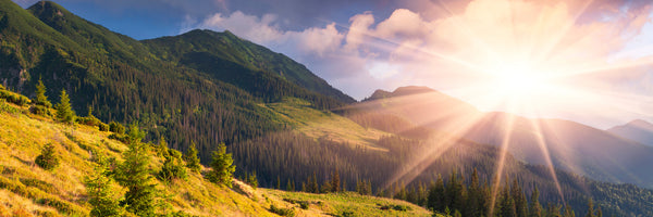 panoramic-canvas-print-beginning-of-autumn-panorama