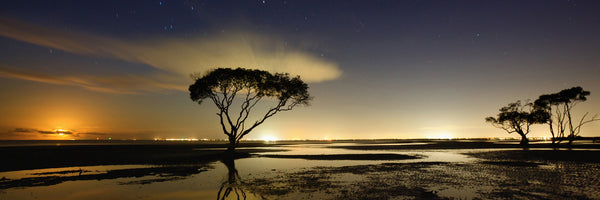 panoramic-canvas-print-moonrise-panorama