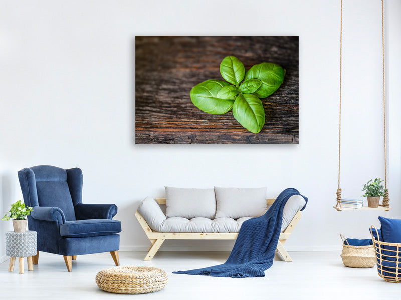 4-piece-canvas-print-basil-leaf-in-xxl