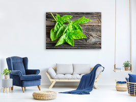 modern-4-piece-canvas-print-basil-leaves-ii