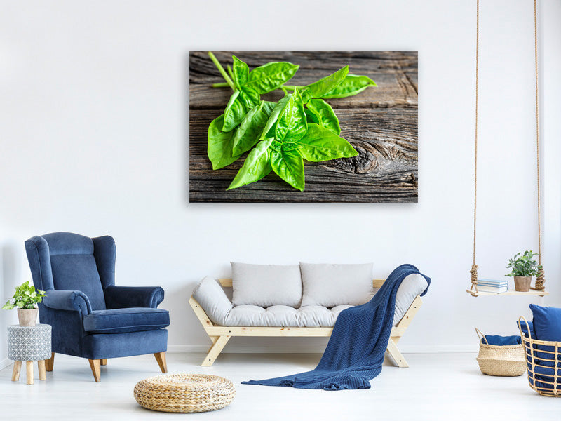 modern-4-piece-canvas-print-basil-leaves-ii