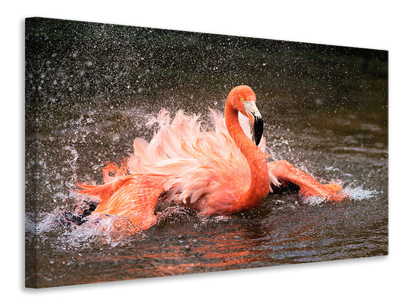 4-piece-canvas-print-bath