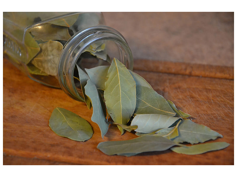 5-piece-canvas-print-bay-leaves